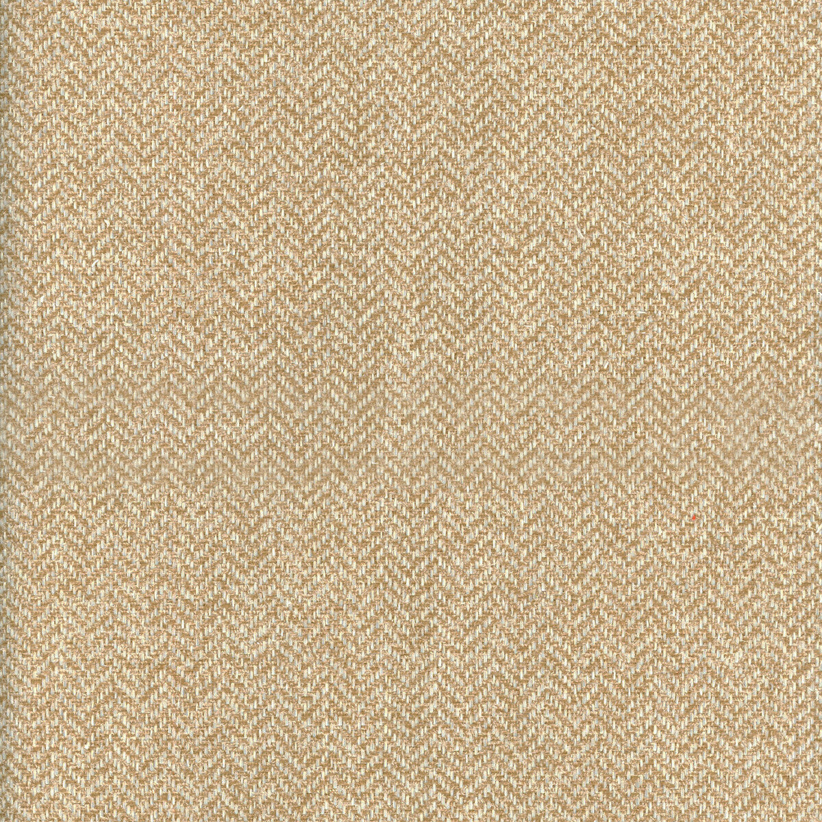 KRAVET COUTURE AM100329.16.0 NEVADA SAND Fabric - Eade's Wallpaper
