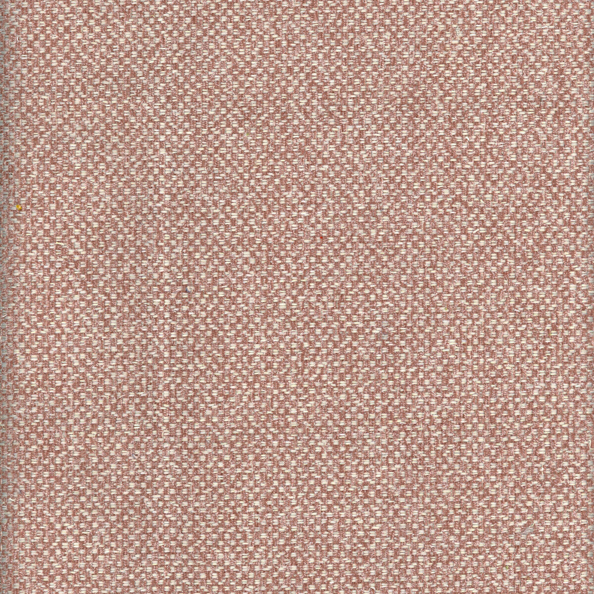 KRAVET COUTURE AM100332.10.0 YOSEMITE FALCON Fabric - Eade's Wallpaper