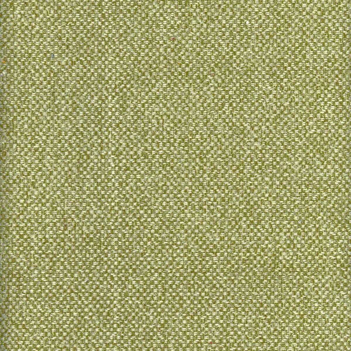 KRAVET COUTURE AM100332.3.0 YOSEMITE MEADOW Fabric - Eade's Wallpaper