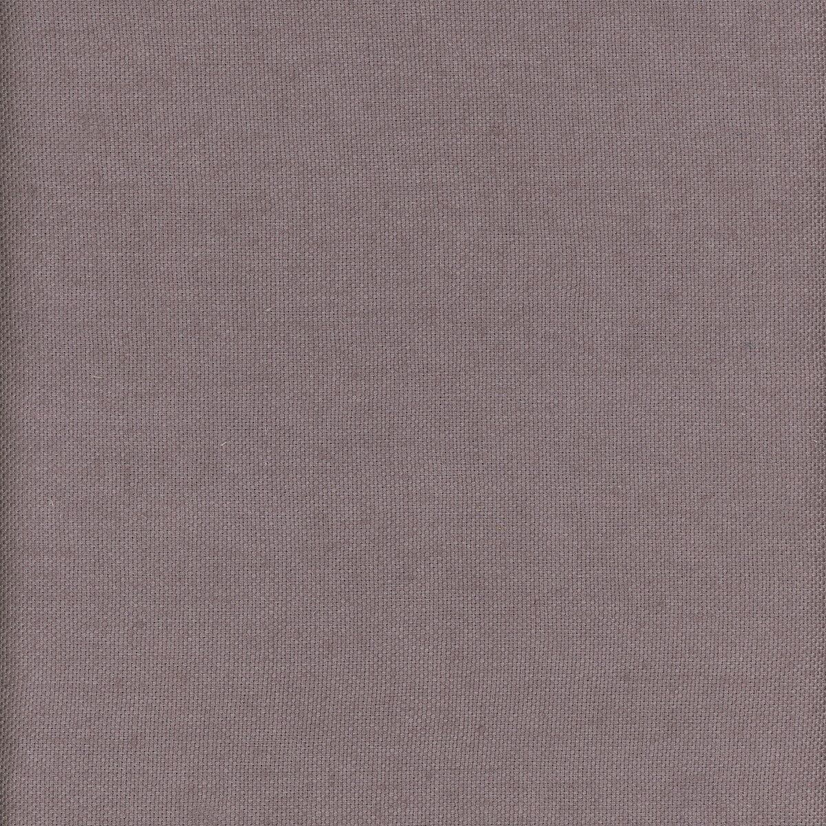 KRAVET COUTURE AM100346.10.0 BEAGLE BERRY Fabric - Eade's Wallpaper