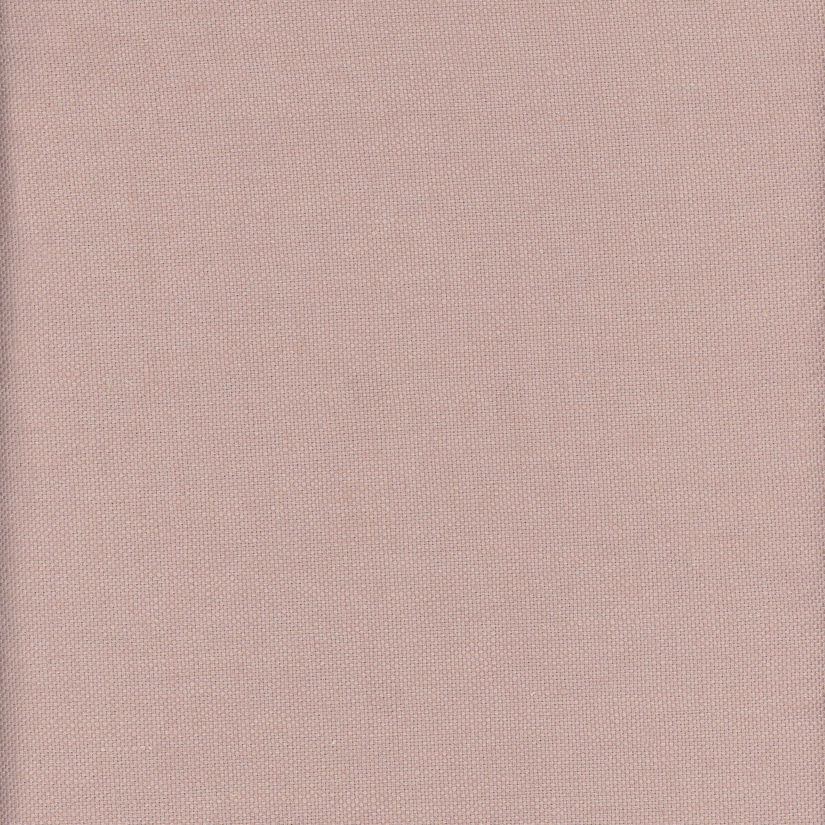 KRAVET COUTURE AM100346.17.0 BEAGLE HEATHER Fabric - Eade's Wallpaper