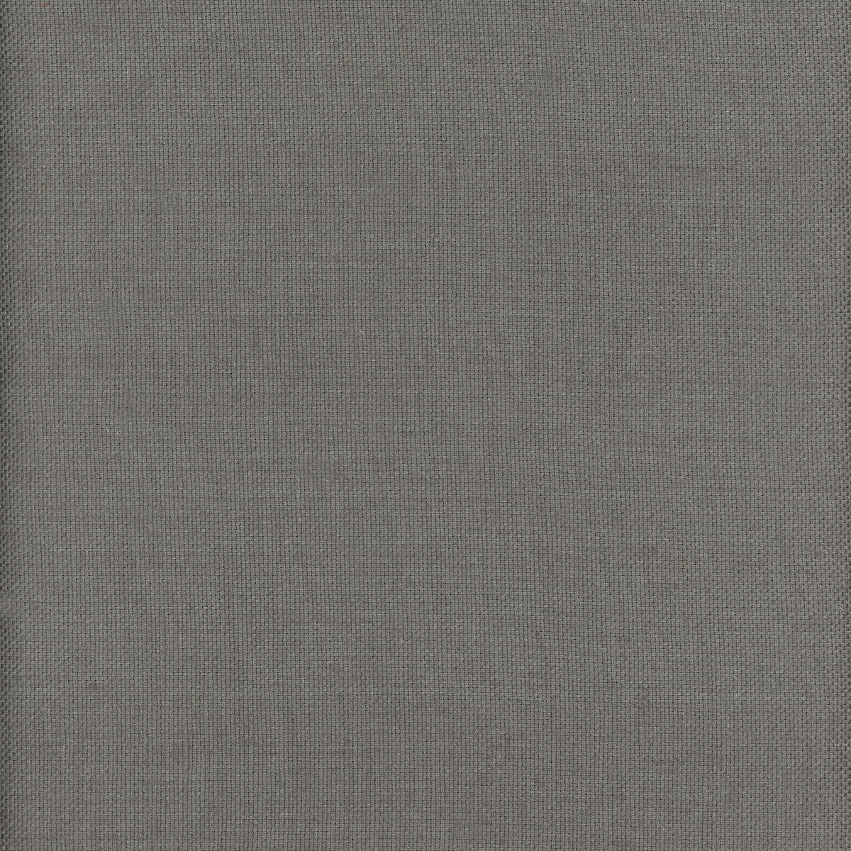 KRAVET COUTURE AM100346.21.0 BEAGLE TURTLE Fabric - Eade's Wallpaper