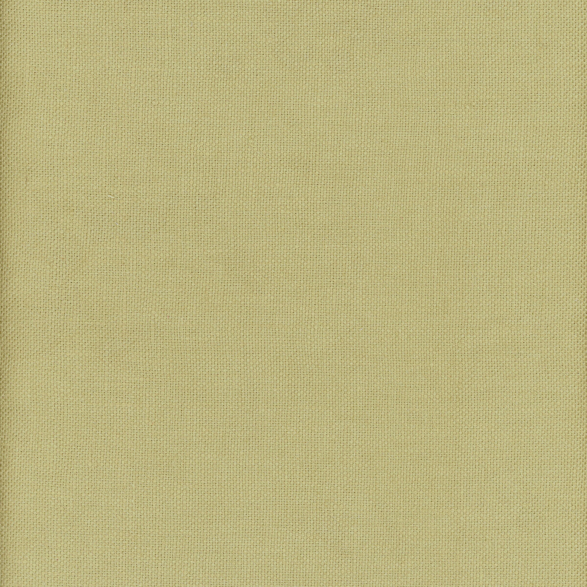 KRAVET COUTURE AM100346.3.0 BEAGLE FIREFLY Fabric - Eade's Wallpaper