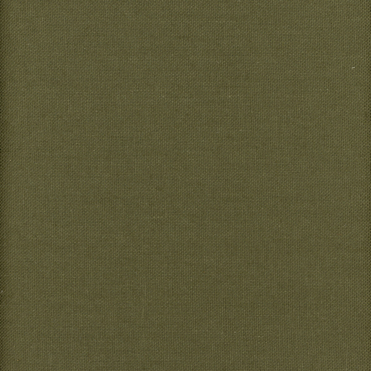 KRAVET COUTURE AM100346.30.0 BEAGLE ARCHIPELAGO Fabric - Eade's Wallpaper