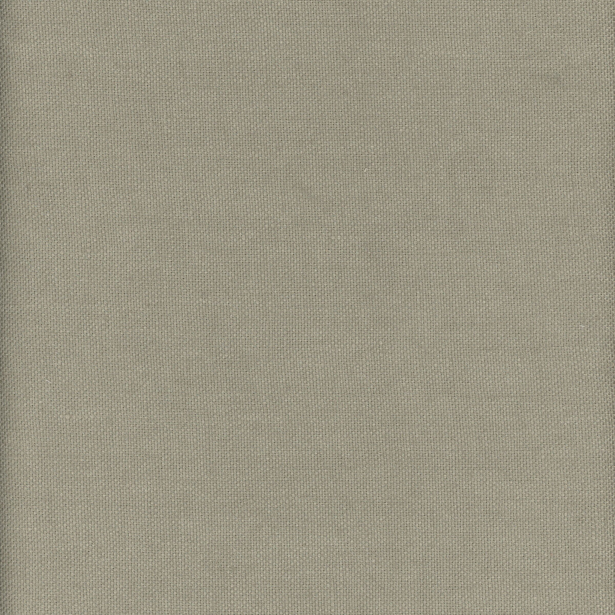 KRAVET COUTURE AM100346.316.0 BEAGLE GRASSHOPPER Fabric - Eade's Wallpaper