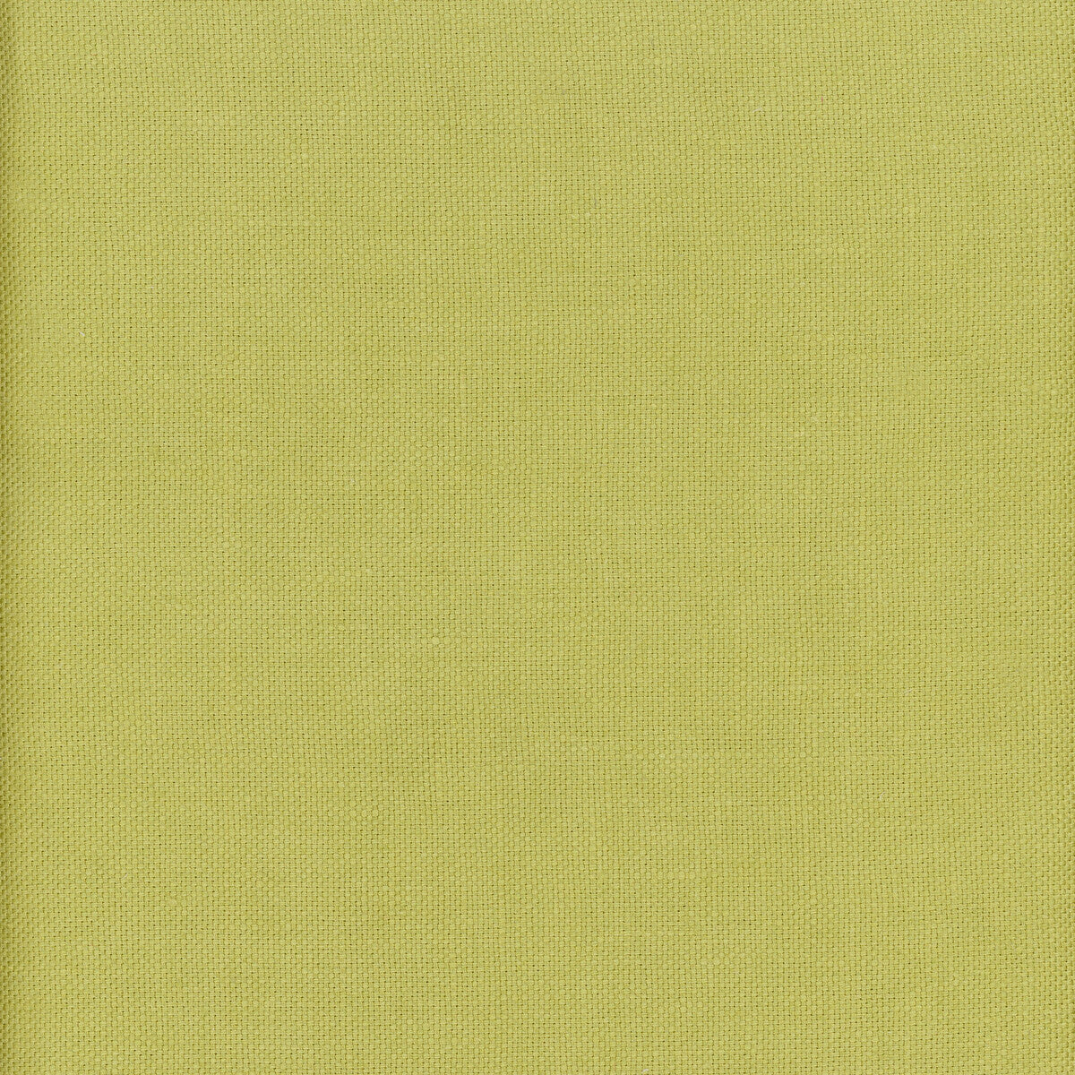 KRAVET COUTURE AM100346.323.0 BEAGLE LIZARD Fabric - Eade's Wallpaper