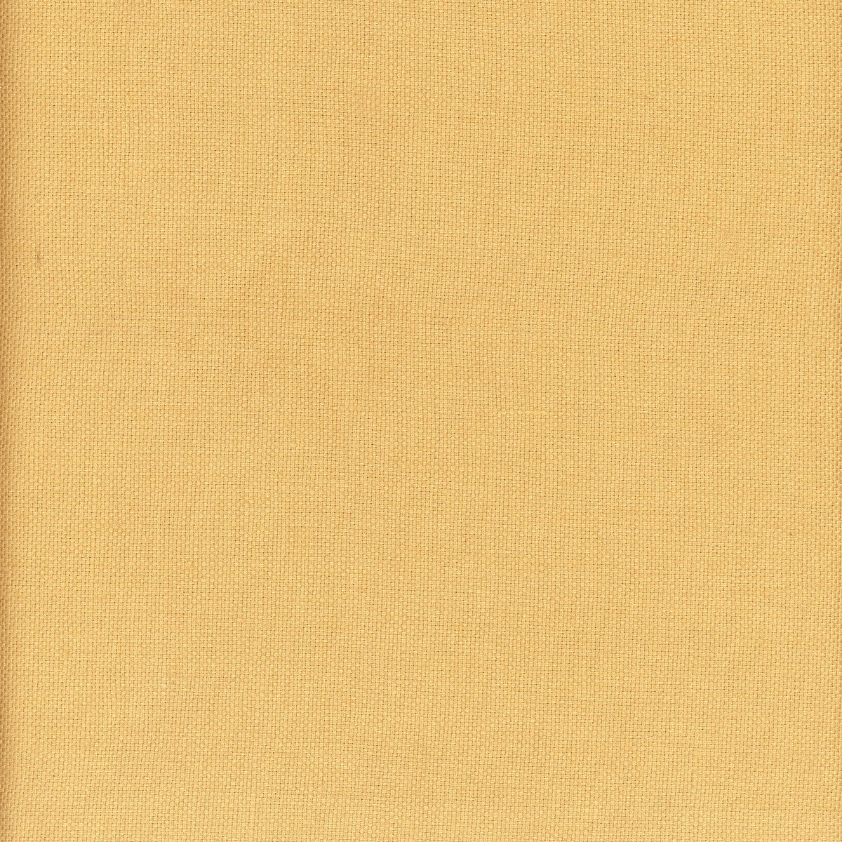 KRAVET COUTURE AM100346.4.0 BEAGLE ACACIA Fabric - Eade's Wallpaper