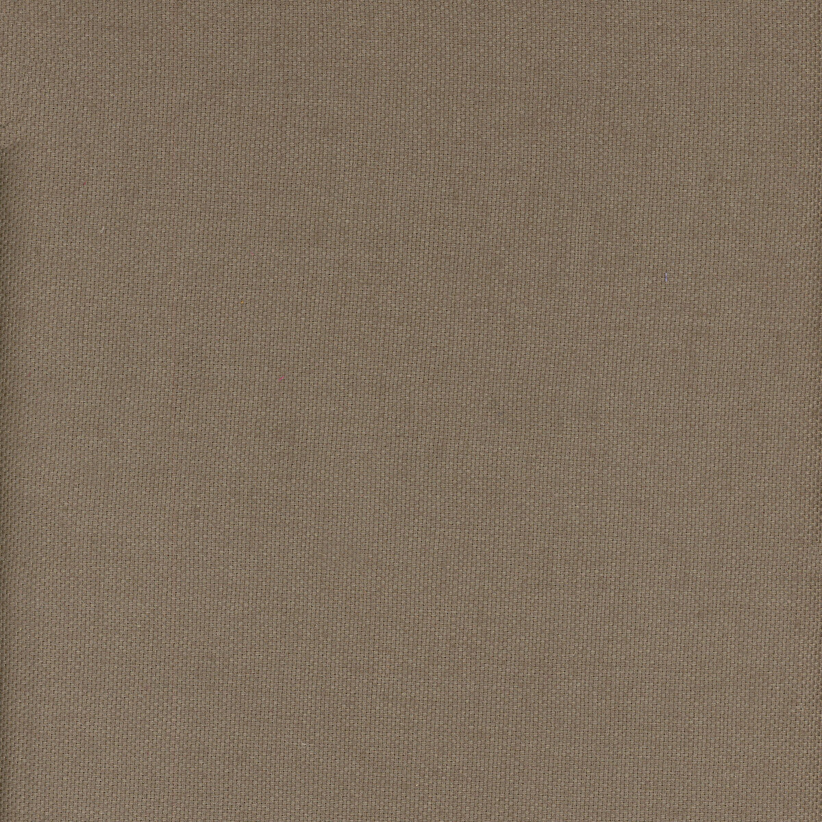 KRAVET COUTURE AM100346.6.0 BEAGLE PAMPAS Fabric - Eade's Wallpaper