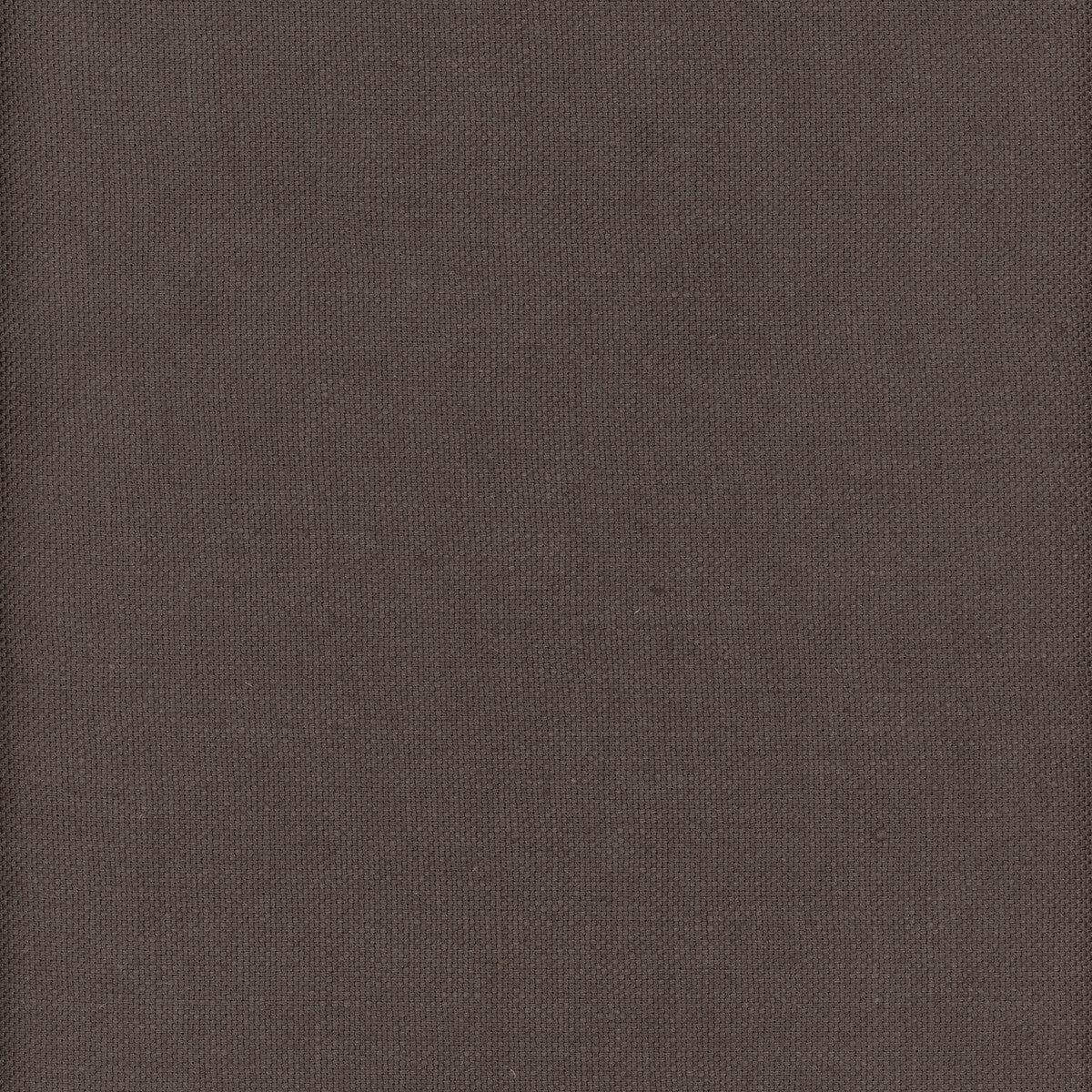 KRAVET COUTURE AM100346.66.0 BEAGLE WHALE Fabric - Eade's Wallpaper