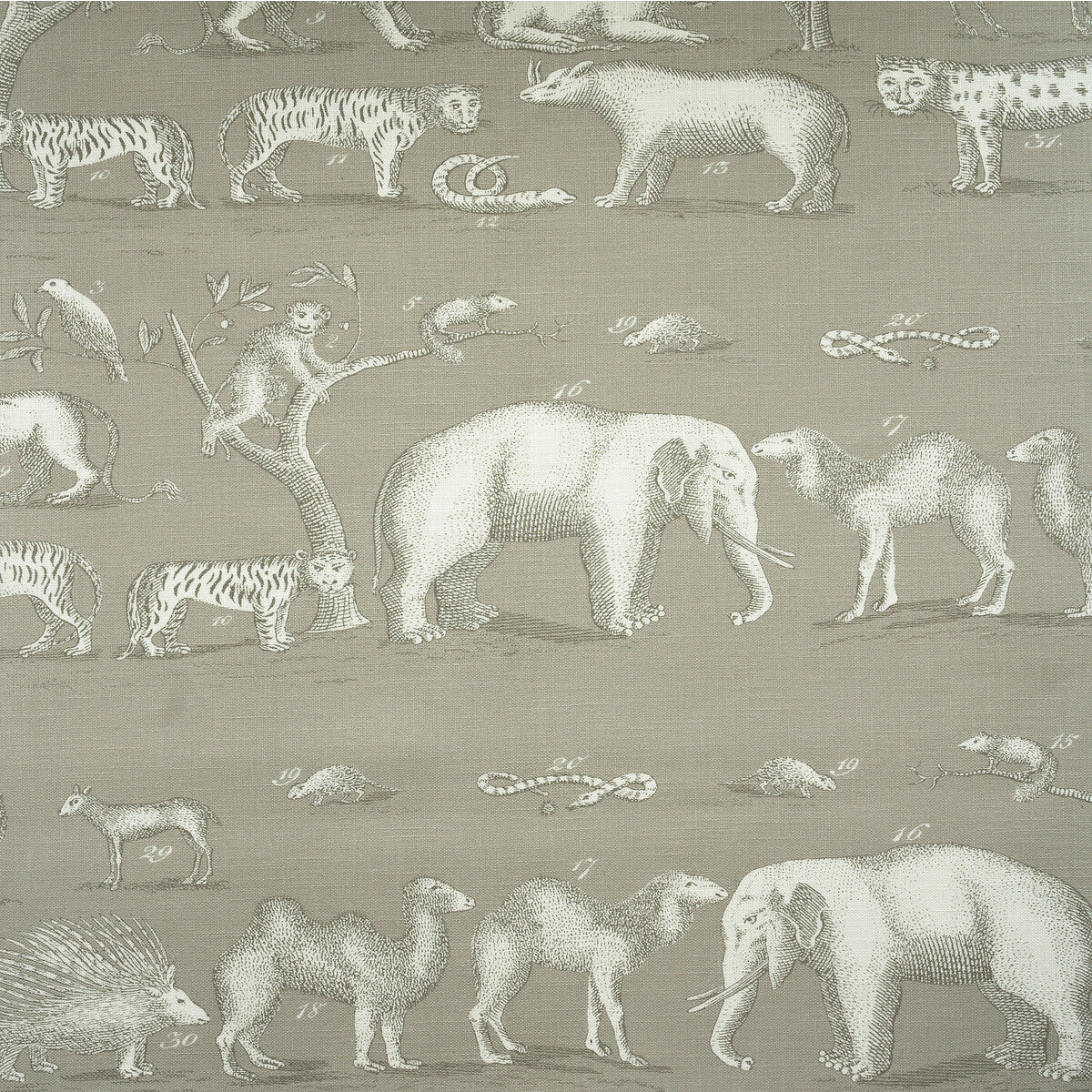 KRAVET COUTURE AM100350.11.0 KINGDOM OUTDOOR CLOUD Fabric - Eade's Wallpaper