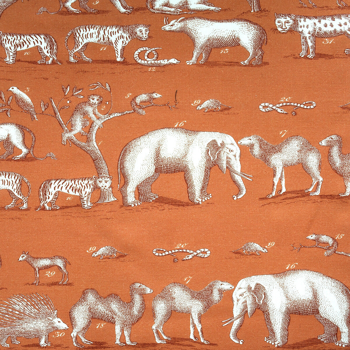 KRAVET COUTURE AM100350.12.0 KINGDOM OUTDOOR LAVA Fabric - Eade's Wallpaper