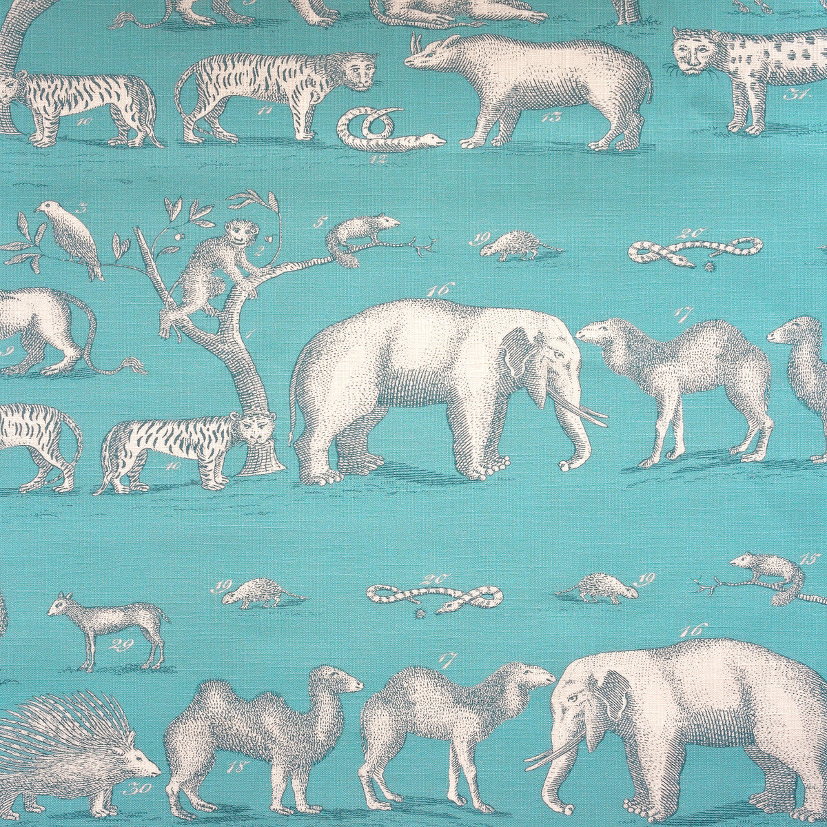 KRAVET COUTURE AM100350.13.0 KINGDOM OUTDOOR LAGOON Fabric - Eade's Wallpaper