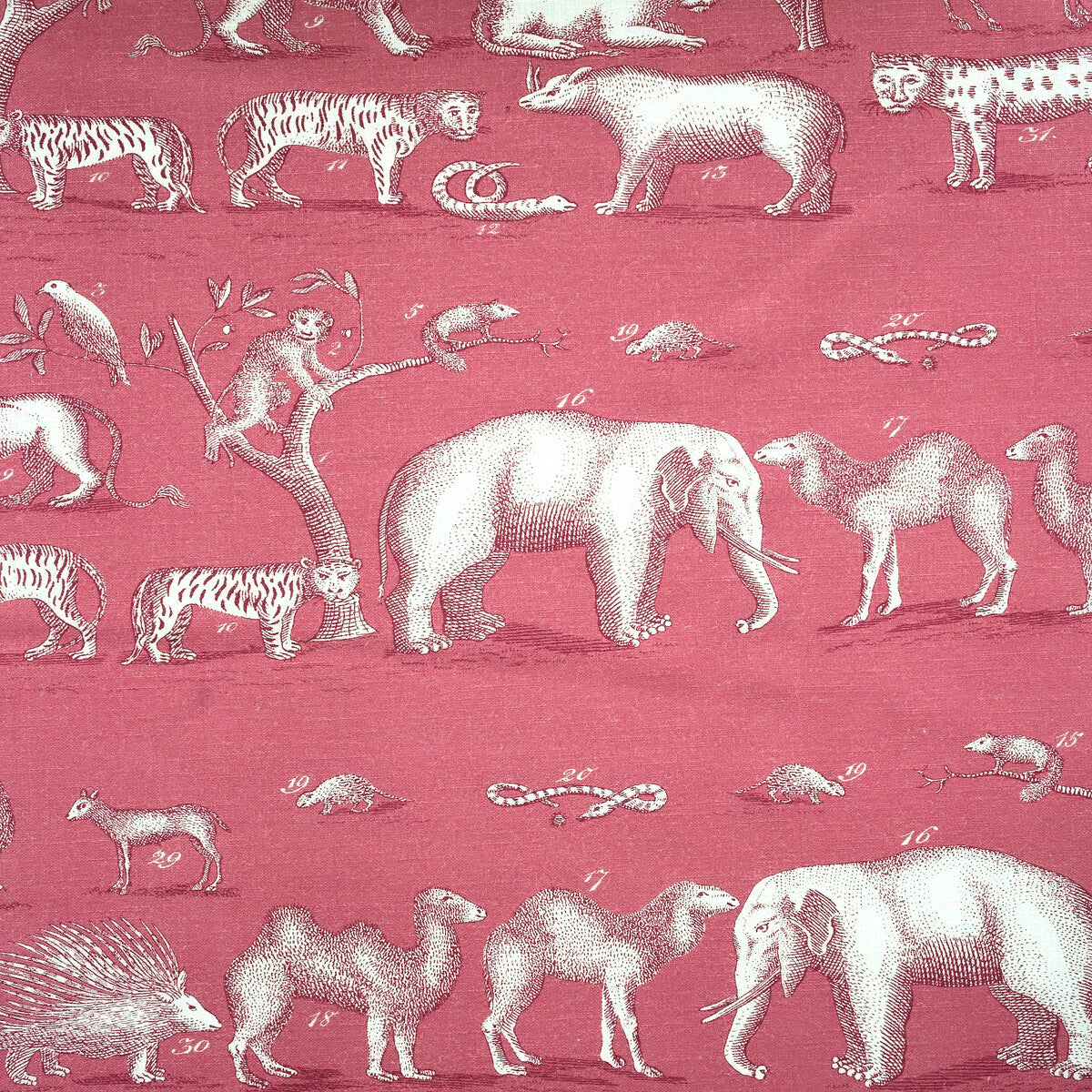 KRAVET COUTURE AM100350.17.0 KINGDOM OUTDOOR TROPIC Fabric - Eade's Wallpaper