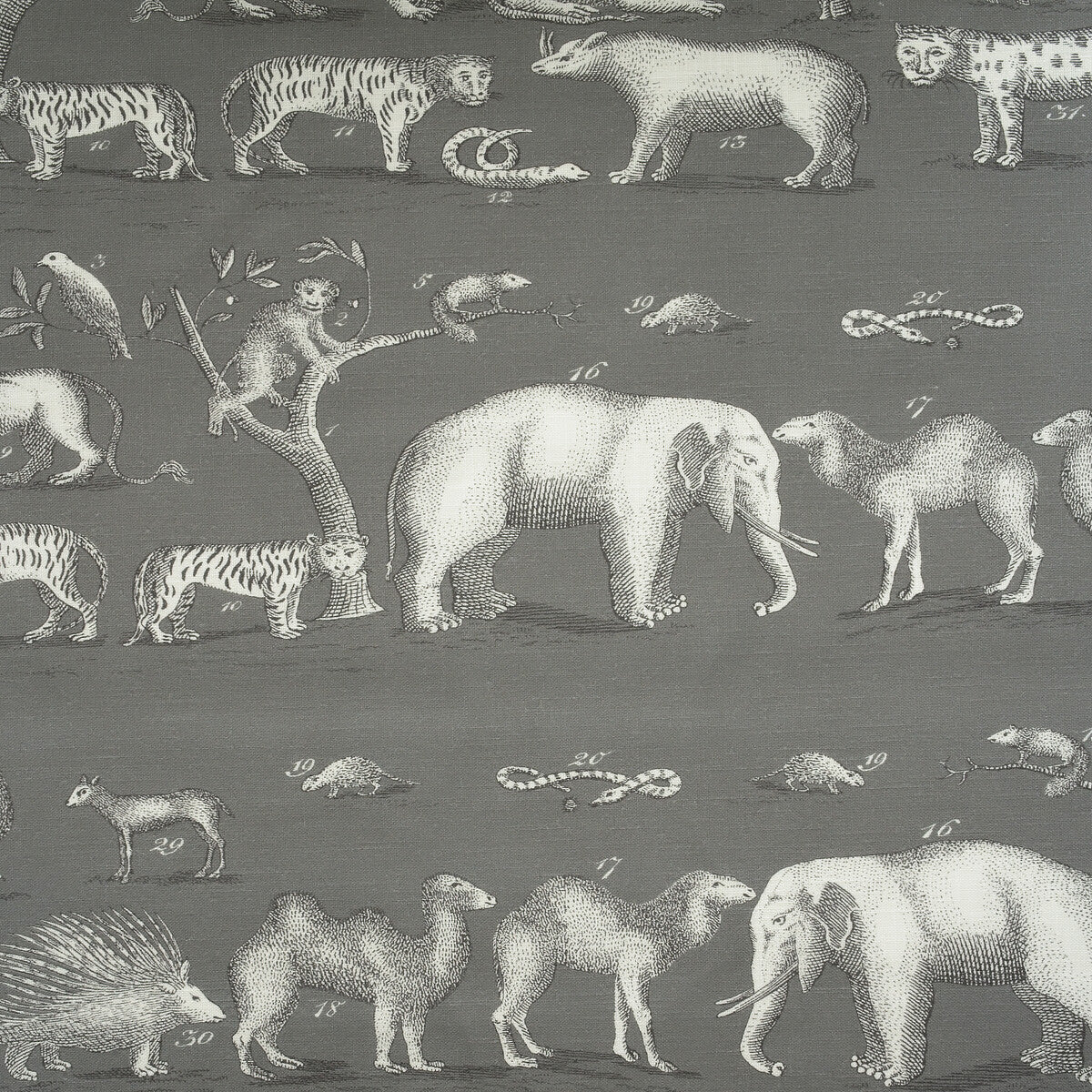 KRAVET COUTURE AM100350.21.0 KINGDOM OUTDOOR ROCK Fabric - Eade's Wallpaper