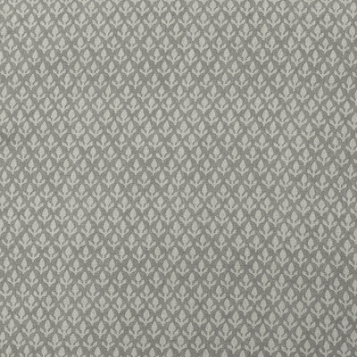 KRAVET COUTURE AM100379.11.0 BUD CLOUD Fabric - Eade's Wallpaper