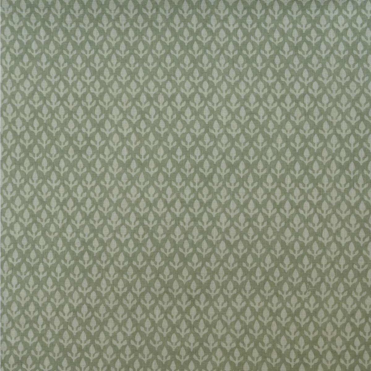 KRAVET COUTURE AM100379.123.0 BUD FENNEL Fabric - Eade's Wallpaper