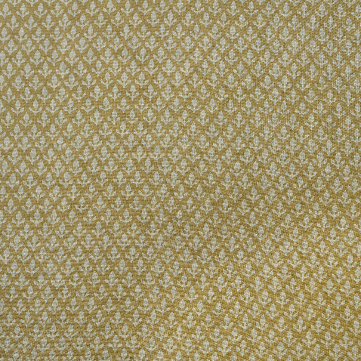 KRAVET COUTURE AM100379.416.0 BUD HONEY Fabric - Eade's Wallpaper