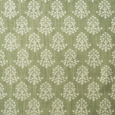 KRAVET COUTURE AM100384.123.0 SPRIG FENNEL Fabric - Eade's Wallpaper