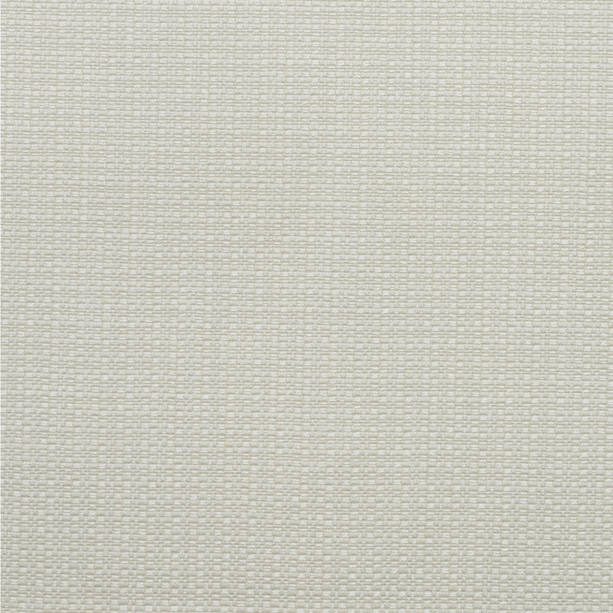 KRAVET COUTURE AM100390.1.0 BIRCH CHALK Fabric - Eade's Wallpaper