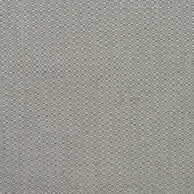 KRAVET COUTURE AM100390.11.0 BIRCH FOG Fabric - Eade's Wallpaper