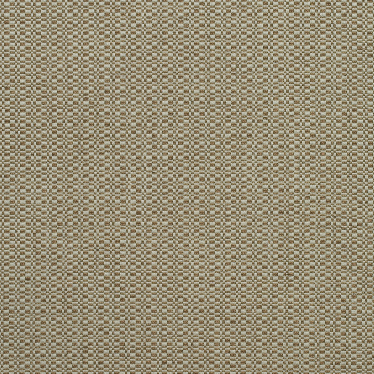 KRAVET COUTURE AM100390.624.0 BIRCH AUTUMN Fabric - Eade's Wallpaper