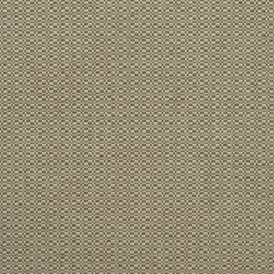 KRAVET COUTURE AM100390.624.0 BIRCH AUTUMN Fabric - Eade's Wallpaper