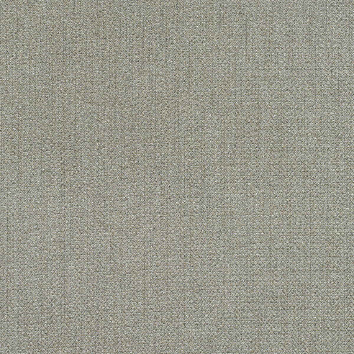 KRAVET COUTURE AM100391.106.0 BIRDS FOOT STONE Fabric - Eade's Wallpaper
