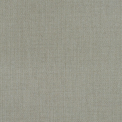 KRAVET COUTURE AM100391.106.0 BIRDS FOOT STONE Fabric - Eade's Wallpaper