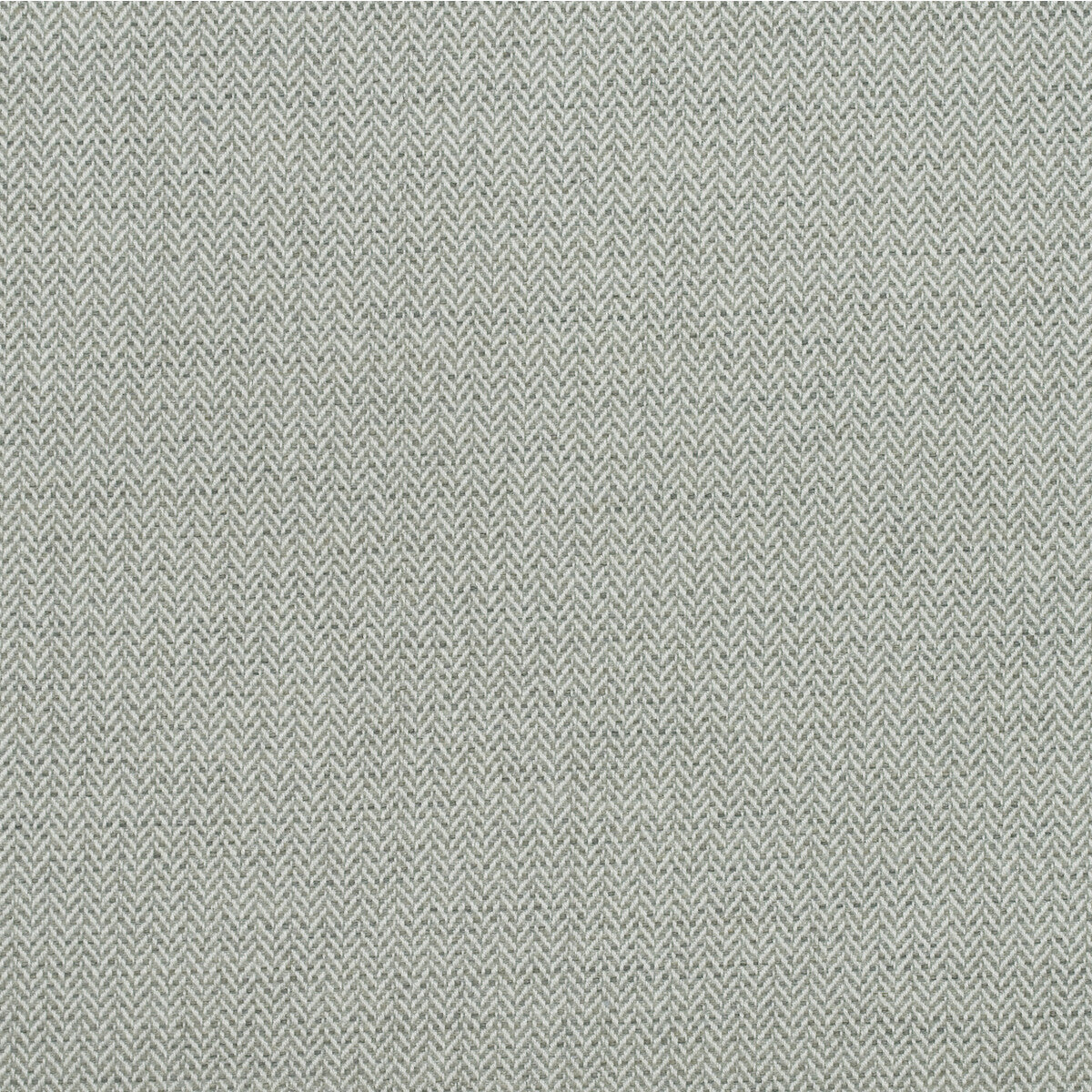 KRAVET COUTURE AM100391.1121.0 BIRDS FOOT STORM Fabric - Eade's Wallpaper