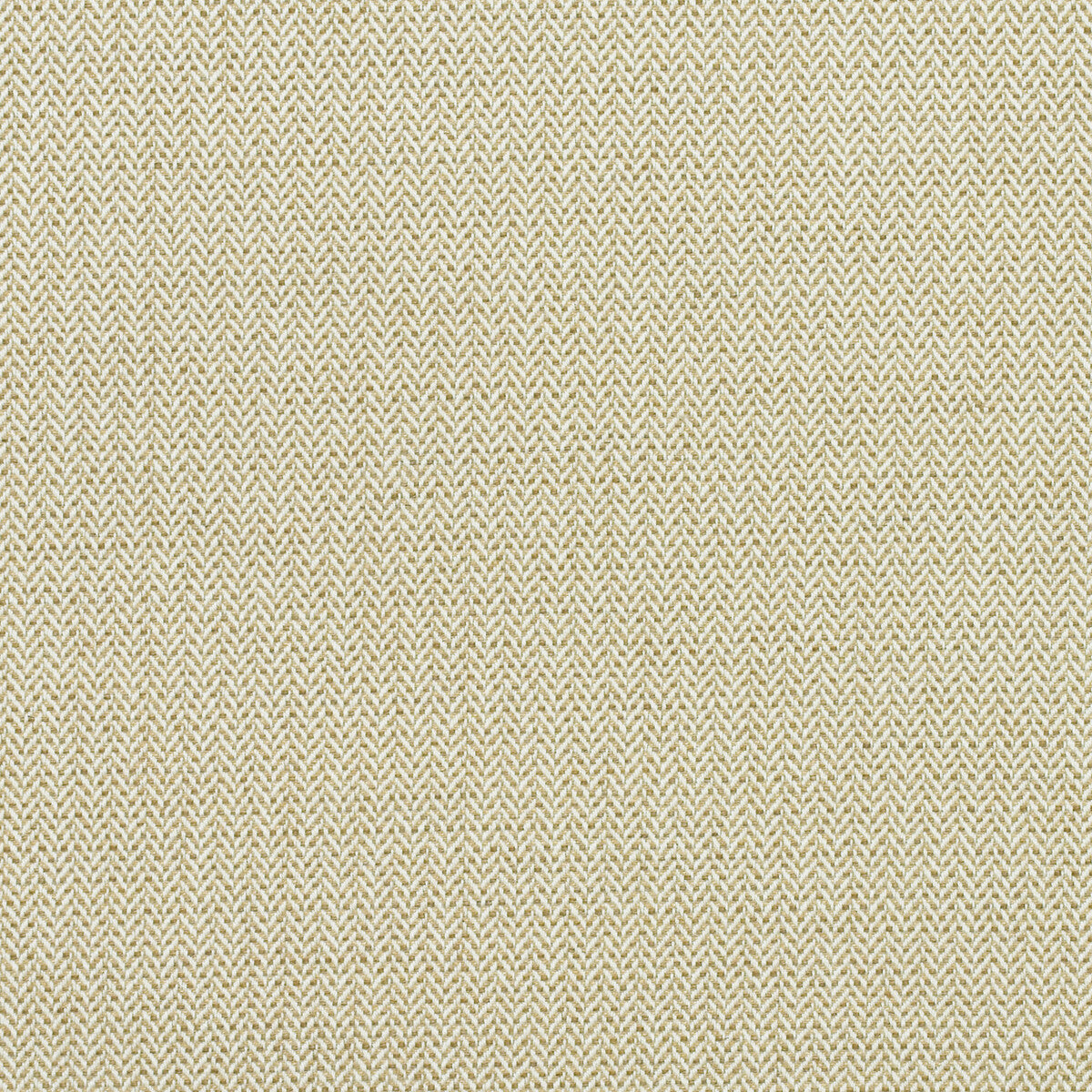 KRAVET COUTURE AM100391.624.0 BIRDS FOOT AUTUMN Fabric - Eade's Wallpaper