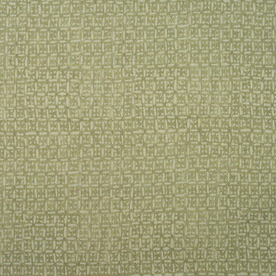 KRAVET COUTURE AM100397.3.0 NEST LICHEN Fabric - Eade's Wallpaper