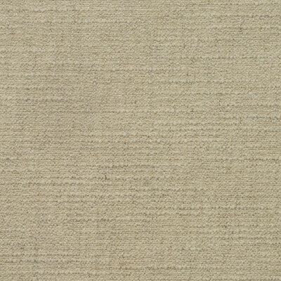 KRAVET COUTURE AM100401.1.0 WREN CHALK Fabric - Eade's Wallpaper