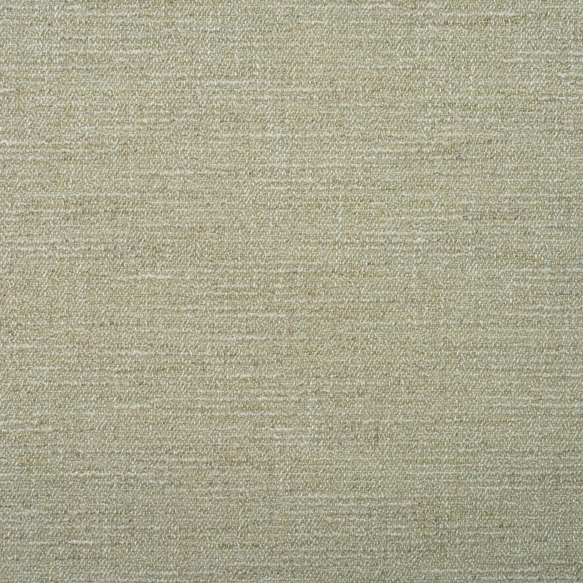 KRAVET COUTURE AM100401.3.0 WREN MOSS Fabric - Eade's Wallpaper