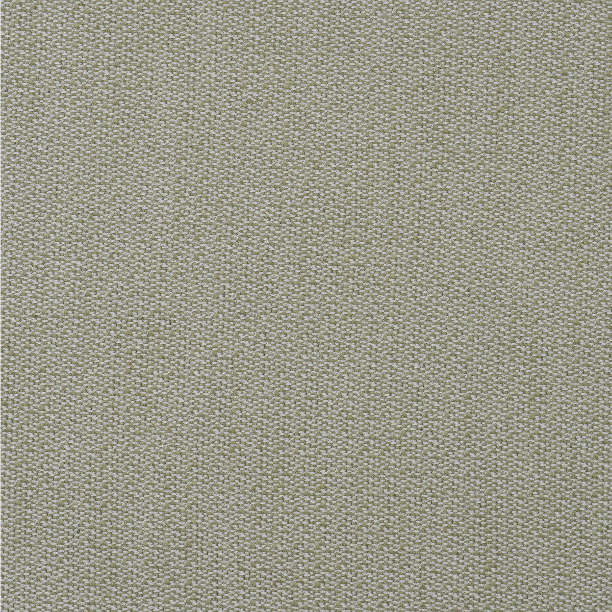 KRAVET COUTURE AM100431.3.0 RAVELLO LEAF Fabric - Eade's Wallpaper