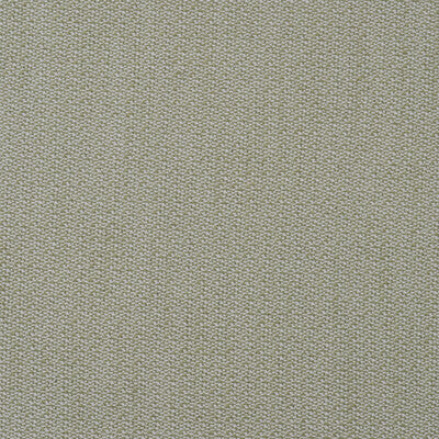 KRAVET COUTURE AM100431.3.0 RAVELLO LEAF Fabric - Eade's Wallpaper