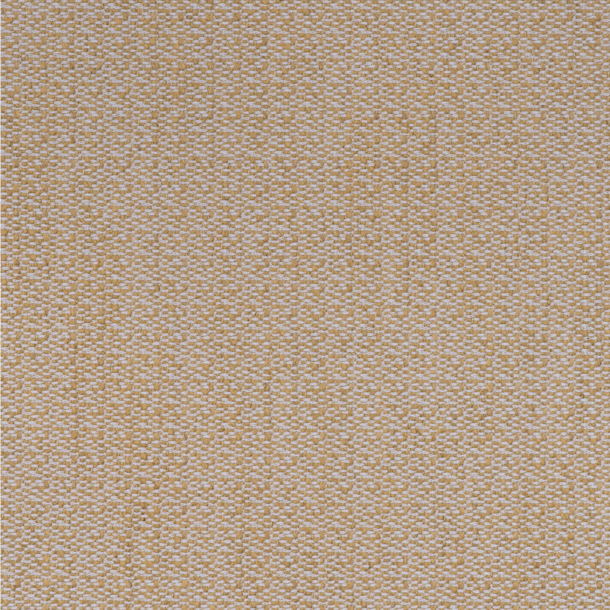 KRAVET COUTURE AM100431.40.0 RAVELLO LEMON Fabric - Eade's Wallpaper