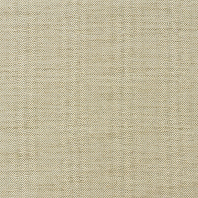 KRAVET COUTURE AM100435.16.0 ROWBOAT ROPE Fabric - Eade's Wallpaper