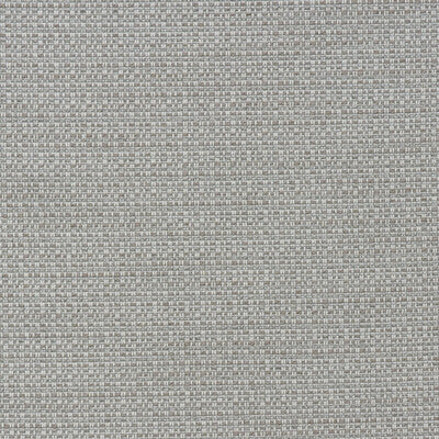 KRAVET COUTURE AM100436.121.0 TENDER STORM Fabric - Eade's Wallpaper