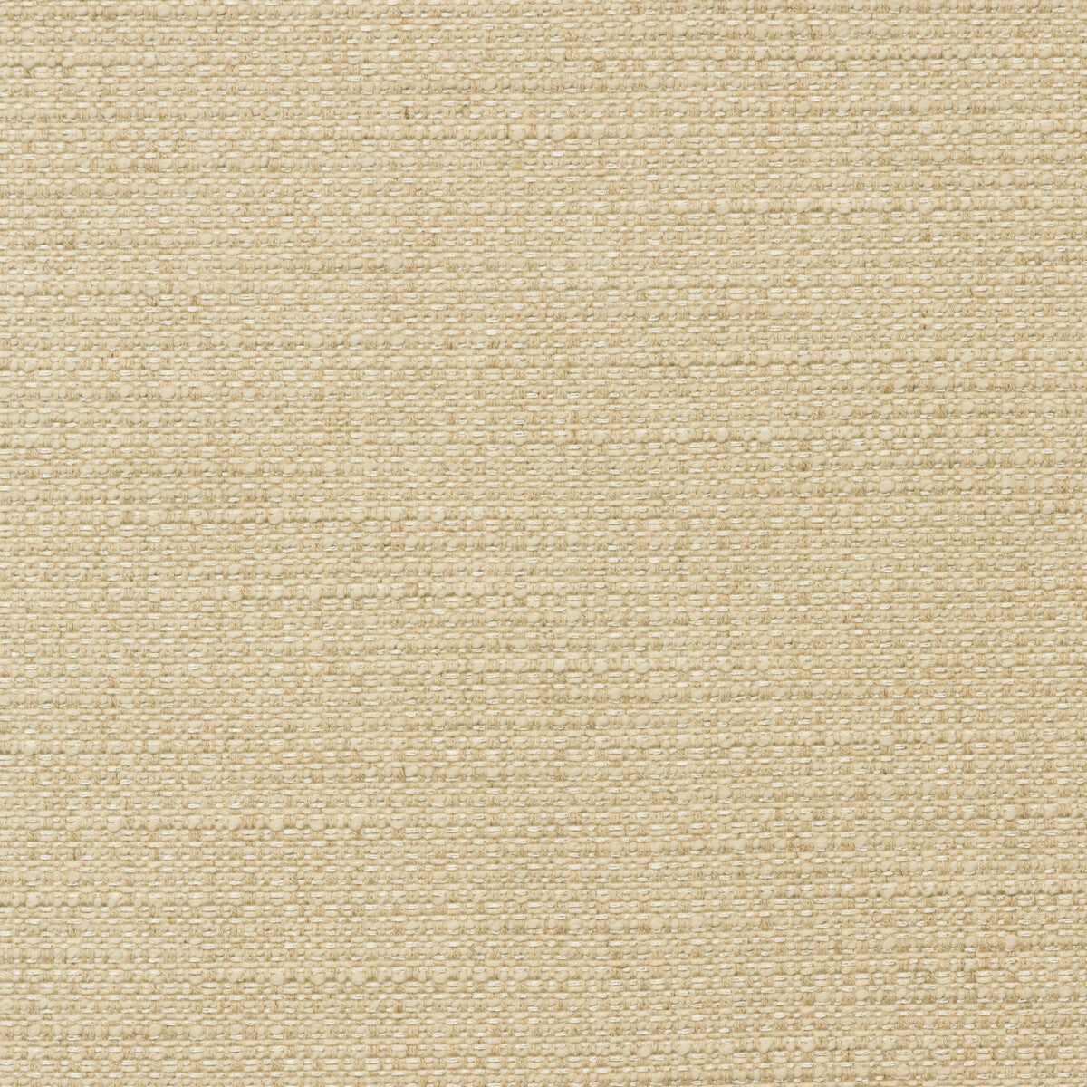 KRAVET COUTURE AM100436.16.0 TENDER ROPE Fabric - Eade's Wallpaper