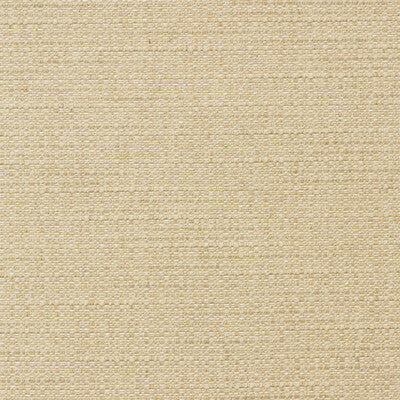 KRAVET COUTURE AM100436.16.0 TENDER ROPE Fabric - Eade's Wallpaper
