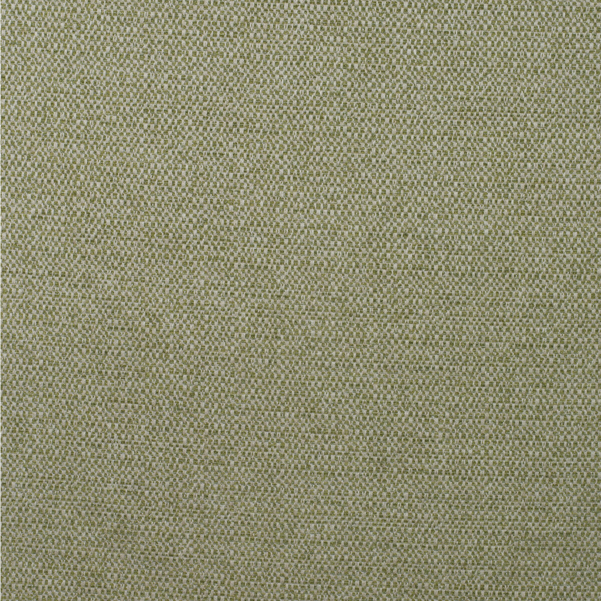 KRAVET COUTURE AM100438.316.0 JETTY REED Fabric - Eade's Wallpaper