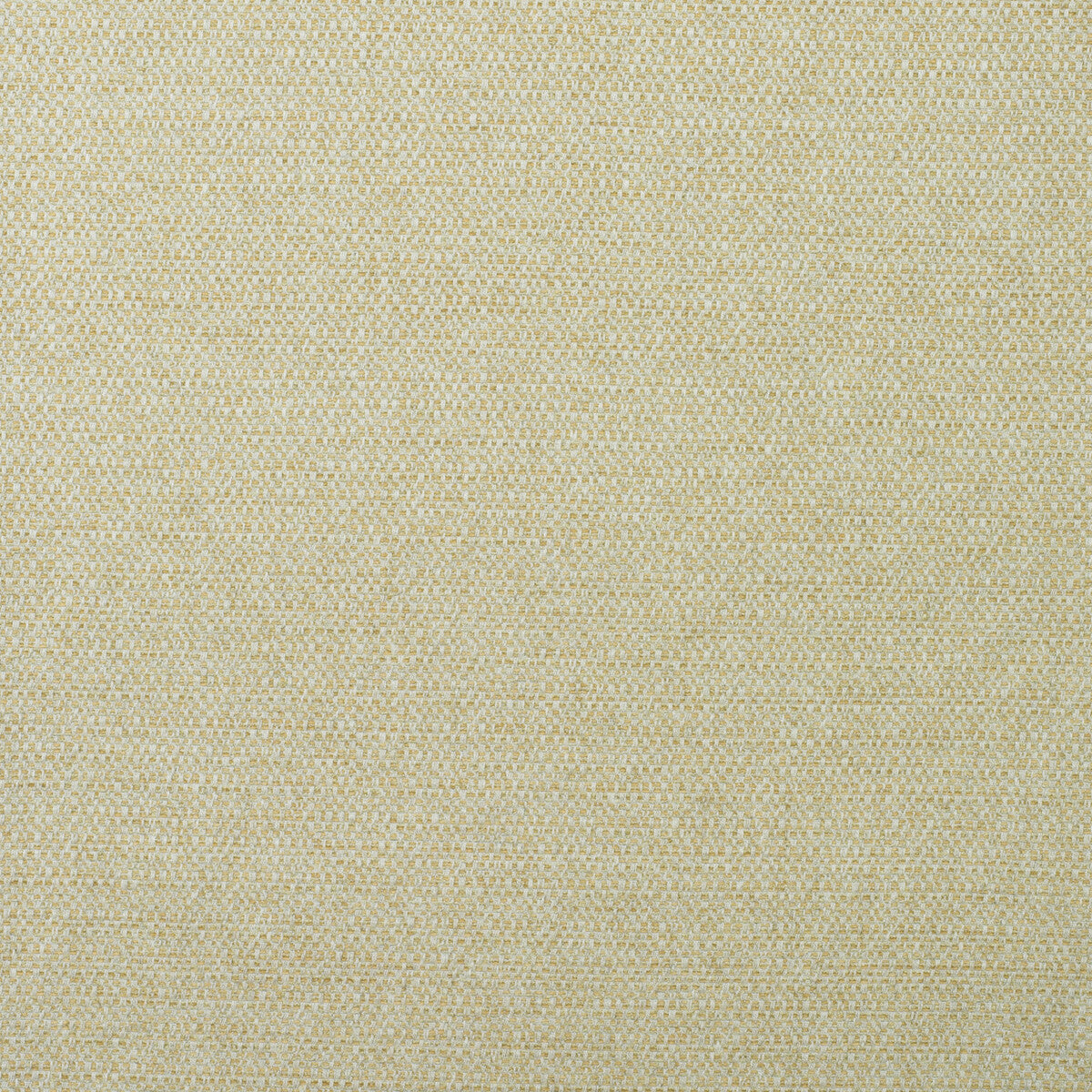 KRAVET COUTURE AM100438.416.0 JETTY GANNET Fabric - Eade's Wallpaper