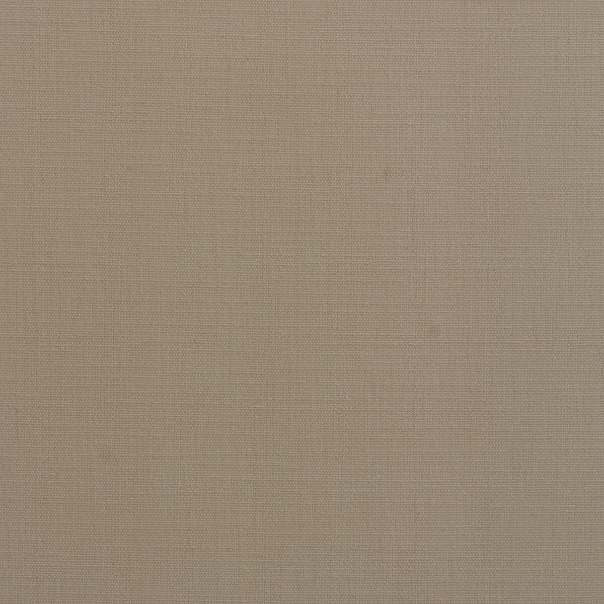 KRAVET COUTURE AM100439.16.0 CORACLE CHALK Fabric - Eade's Wallpaper