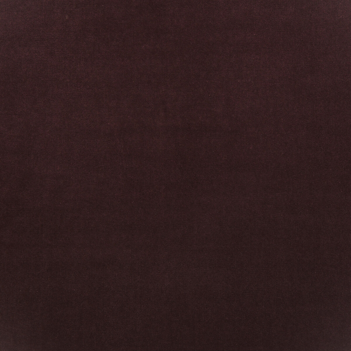 KRAVET COUTURE AM100443.10.0 MEDICI FIG Fabric - Eade's Wallpaper