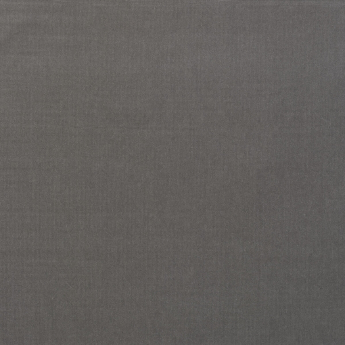 KRAVET COUTURE AM100443.11.0 MEDICI ZINC Fabric - Eade's Wallpaper