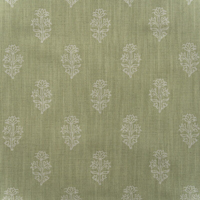 KRAVET COUTURE AM100445.123.0 BUTTERCUP FENNEL Fabric - Eade's Wallpaper