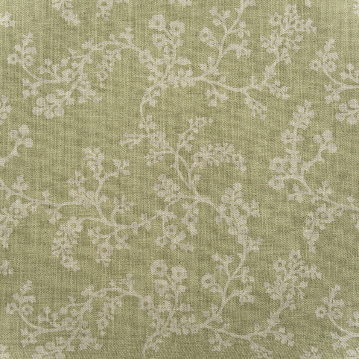 KRAVET COUTURE AM100451.123.0 VINE FENNEL Fabric - Eade's Wallpaper