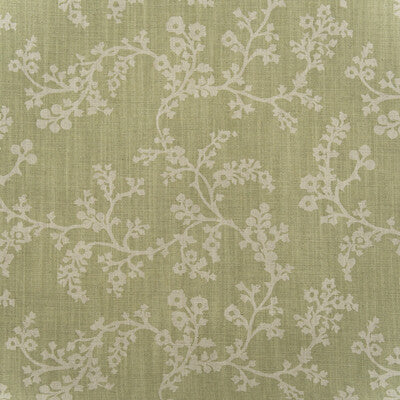 KRAVET COUTURE AM100451.123.0 VINE FENNEL Fabric - Eade's Wallpaper