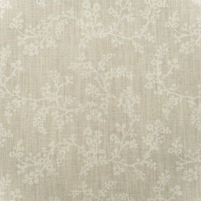 KRAVET COUTURE AM100451.16.0 VINE STONE Fabric - Eade's Wallpaper
