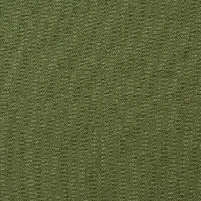 KRAVET COUTURE AM100452.3.0 ROCCO LEAF Fabric - ANDREW MARTIN ROCCO